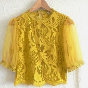Peach Brand Lace/Mesh Top Cropped Half Sleeve Yellow Back Zip
